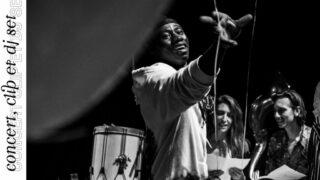 [REPORTÉ] LES OISEAUX RARES | Concert + clip + DJ set