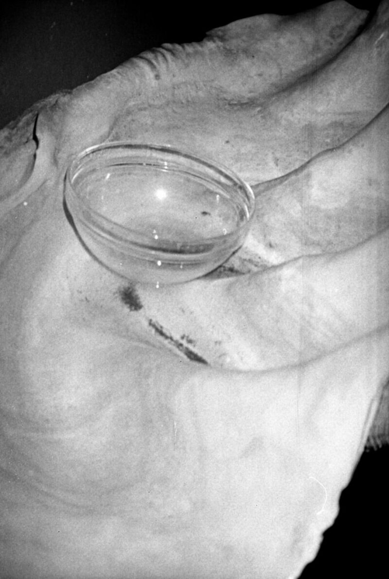 Ici s&rsquo;achève la nuit