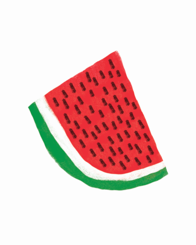 [annulé] Un historien à Gaza