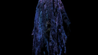 Carcan + The Magma Chamber + exUTERO