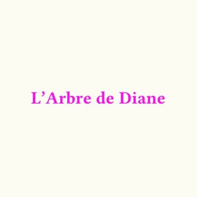 Soirée L&rsquo;Arbre de Diane